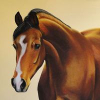 Portrait of bay horse1, pastel, 70x100 cm