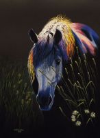 Rainbow Savage - 50x70 cm, pastels
